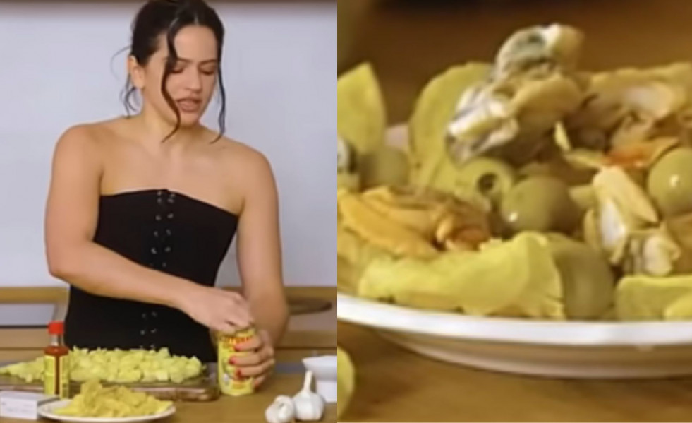 NO SORTIR A LA TERRASSA, HI HA AVESPES (13)