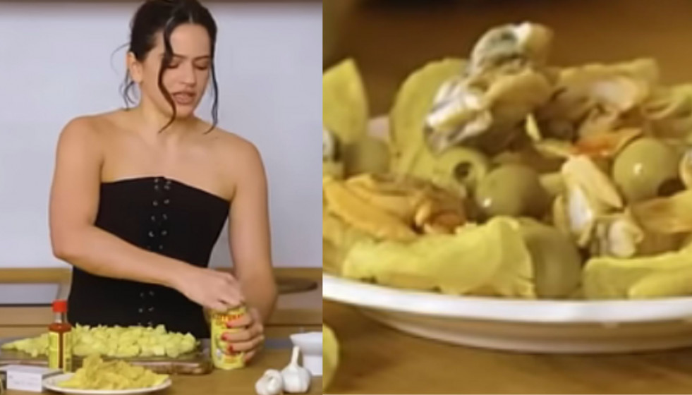 NO SORTIR A LA TERRASSA, HI HA AVESPES (13)