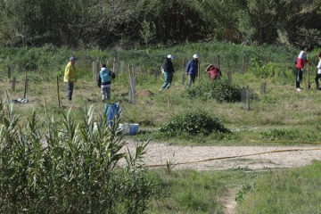 B5d926cd cbfa 45db ba60 fcc712da0a01