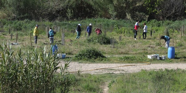 B5d926cd cbfa 45db ba60 fcc712da0a01