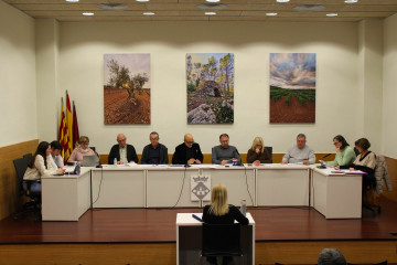 Ple ordinari gener 2026 vista frontal