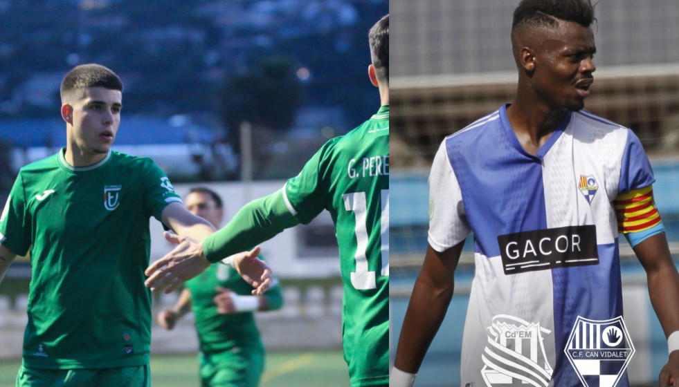 NO SORTIR A LA TERRASSA, HI HA AVESPES (14)