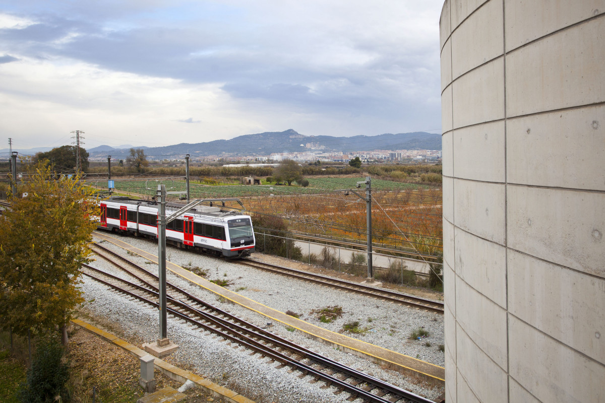 MOLI NOU FGC 014 scaled