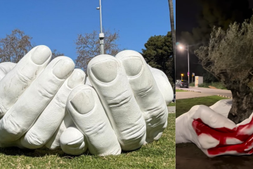 NO SORTIR A LA TERRASSA, HI HA AVESPES (1)