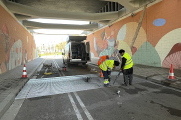 Obres pesta porcina 1