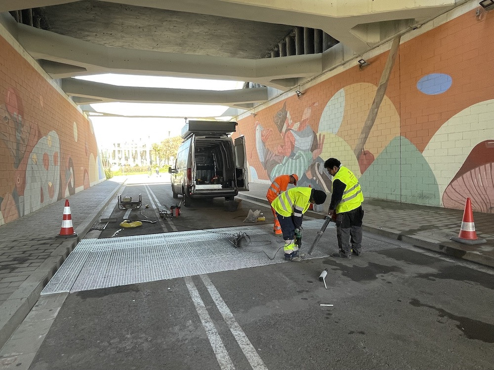 Obres pesta porcina 1