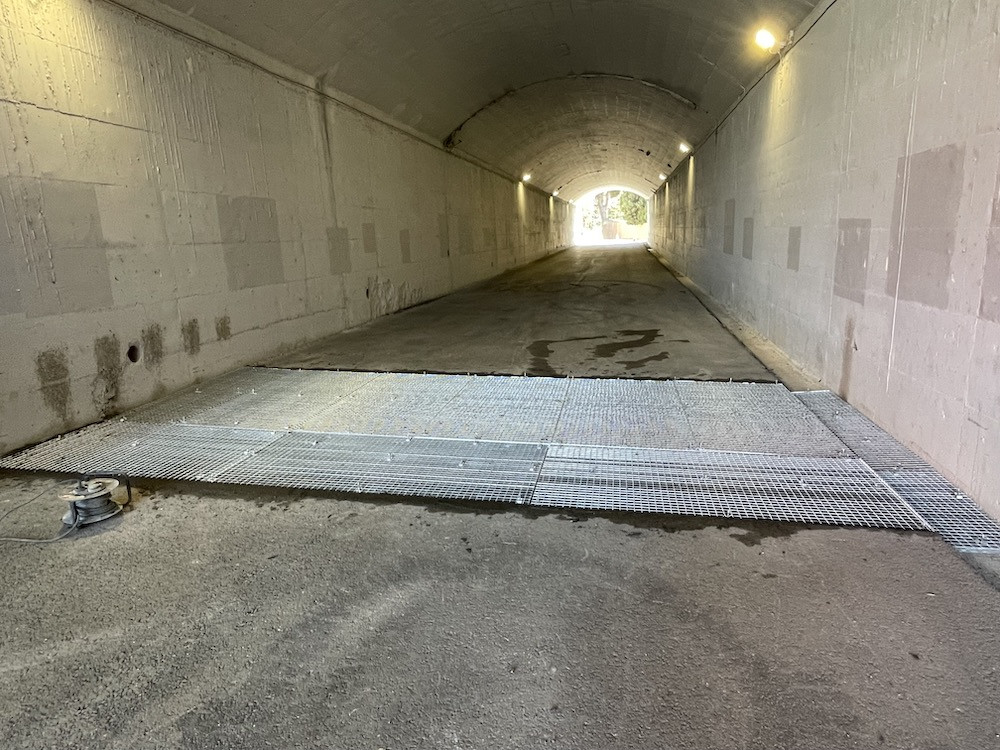 Obres pesta porcina 3