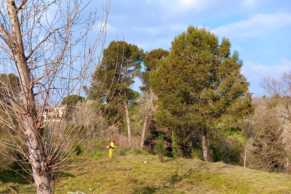 2026 MANTENIMENT FRANJA CAN BARGALLo2