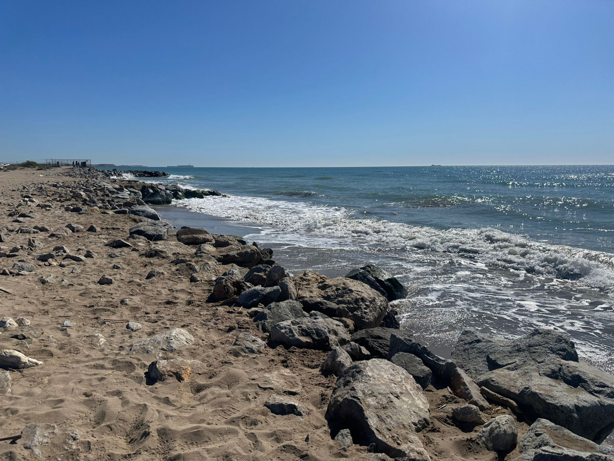 WhatsApp Image 2026 04 04 at 11.23.19 (2)