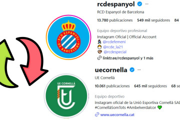 NO SORTIR A LA TERRASSA, HI HA AVESPES (16)