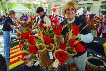 SANT JORDI flors