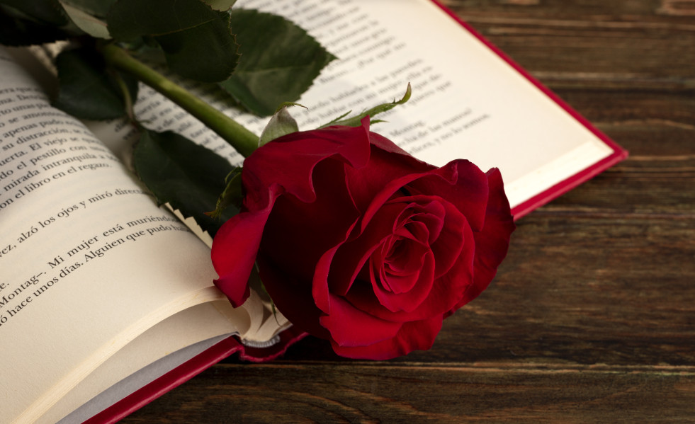 Still life sant jordi day books roses (1)