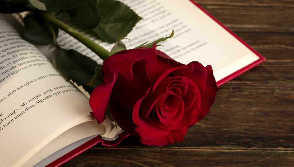 Still life sant jordi day books roses (1)