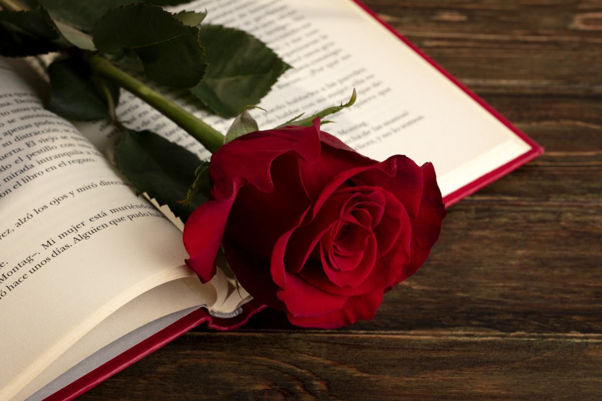 Still life sant jordi day books roses (1)