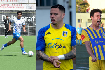 NO SORTIR A LA TERRASSA, HI HA AVESPES (17)