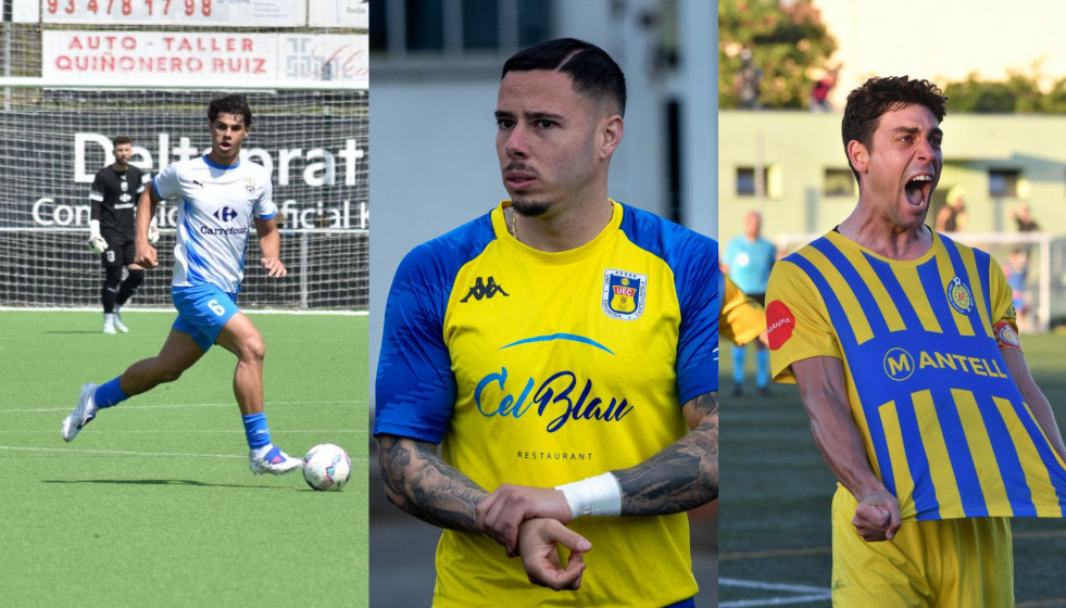 NO SORTIR A LA TERRASSA, HI HA AVESPES (17)