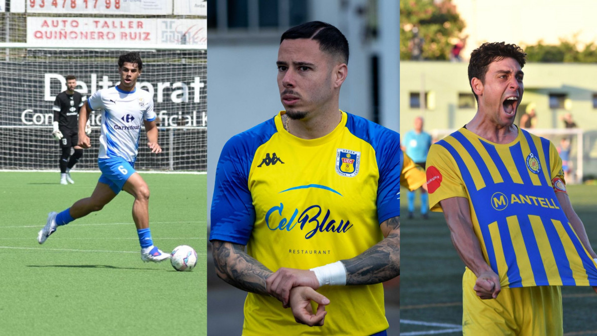 NO SORTIR A LA TERRASSA, HI HA AVESPES (17)