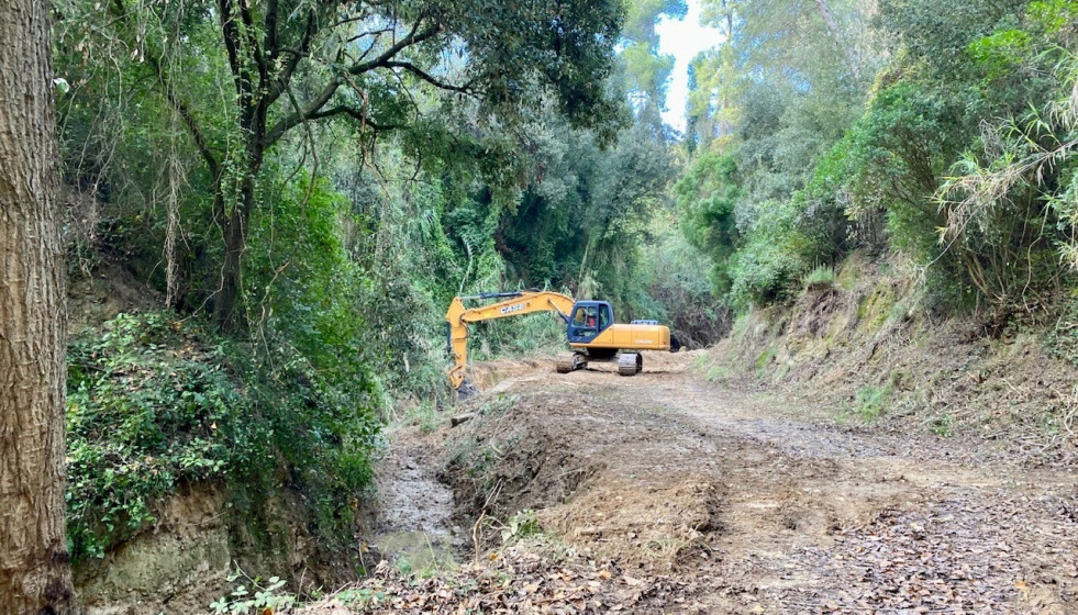 RUTA VERDA2026