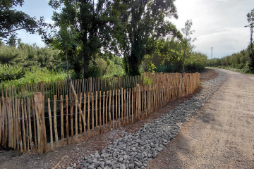 Camí del Riu 01