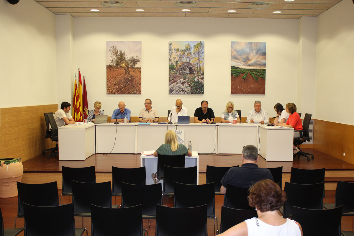 Ple ordinari maig 2026