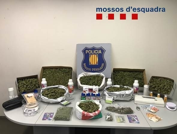 Marihuana incautada por Mossos dEsquadra