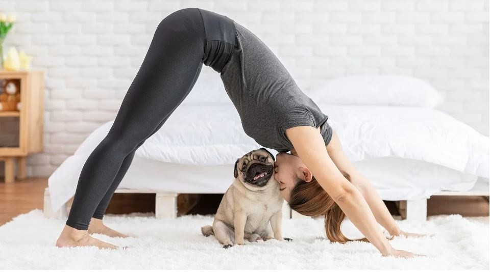 Hacer yoga con tu perro
