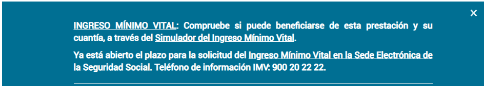 Ingreso vital