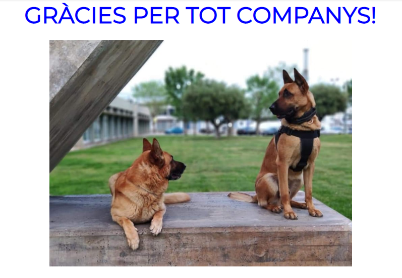 SOS de perros de la Unidad Canina de la Guardia Urbana de Barcelona