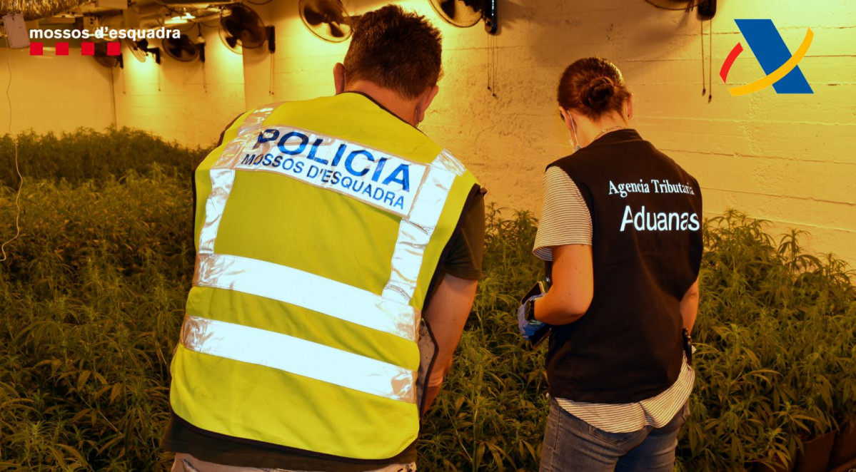 Mossos