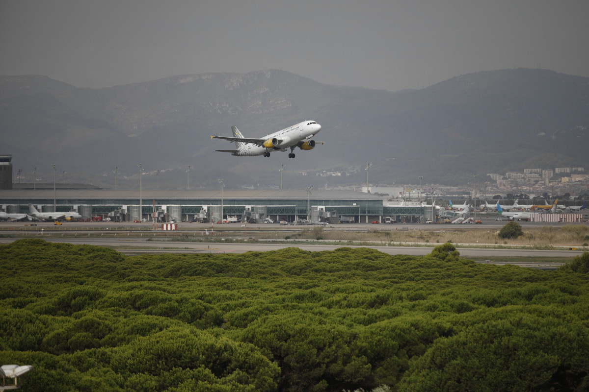 Arxiu - Un avió vola per l'espai protegit de la Ricarda, al Prat de Llobregat