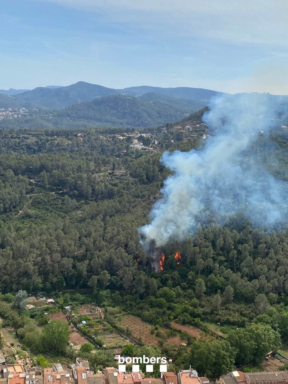 Incendio forestal en la Palma de Cervelló (Barcelona).